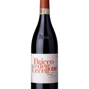 Braida Barbera d'Asti Bricco dell'Uccellone Doppio Magnum bottiglia di vino rosso prodotta in Italia nel Monferrato Astigiano