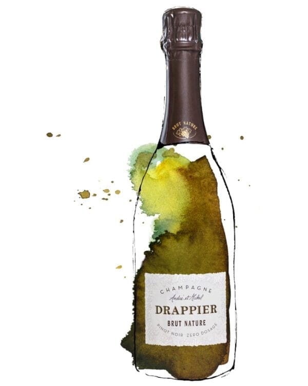 drappier champagne brut nature bottiglia di spumante bianco prodotto in Francia, in Champagne