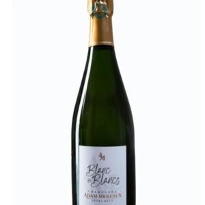adam mereaux champagne blanc de blancs extra brut bottiglia di champagne prodotto in Francia