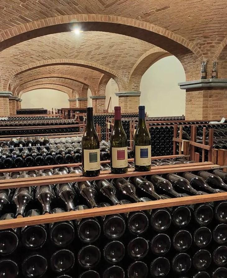Casa vinicola Luciano Sandrone Sorprendente dal 1970 8 luciano sandrone il riposo