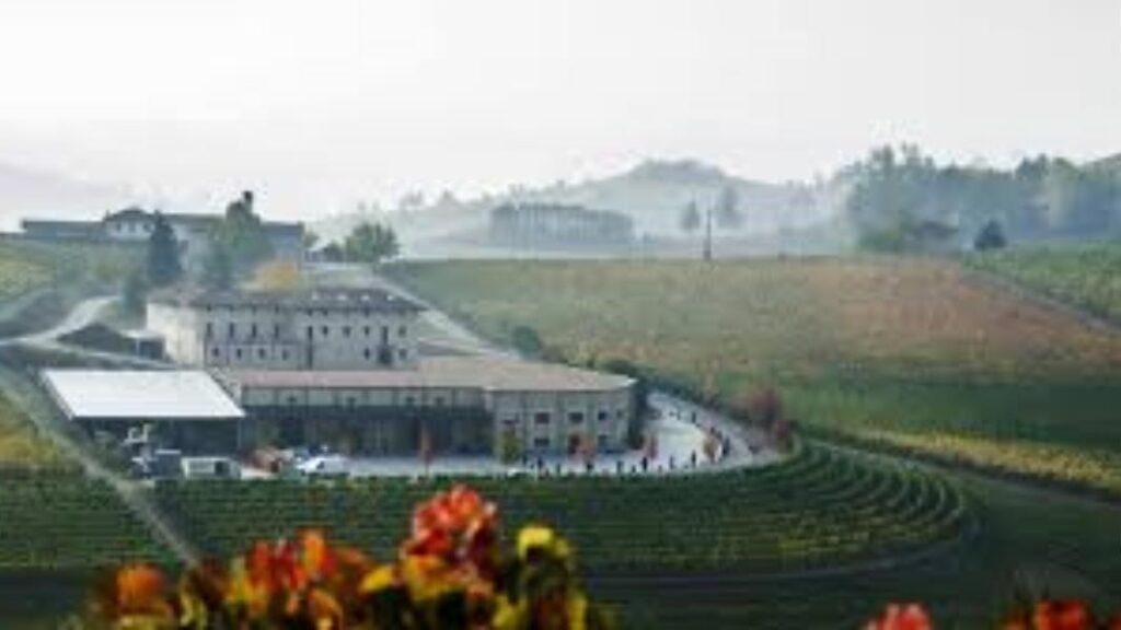 abbona marziano cantina e vigne