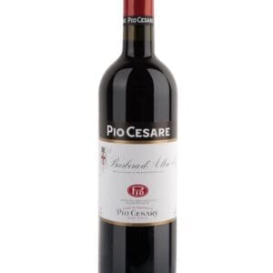 pio cesare barbera d'alba bottiglia di vino rosso prodotto in Italia, nella zona delle Langhe in Piemonte