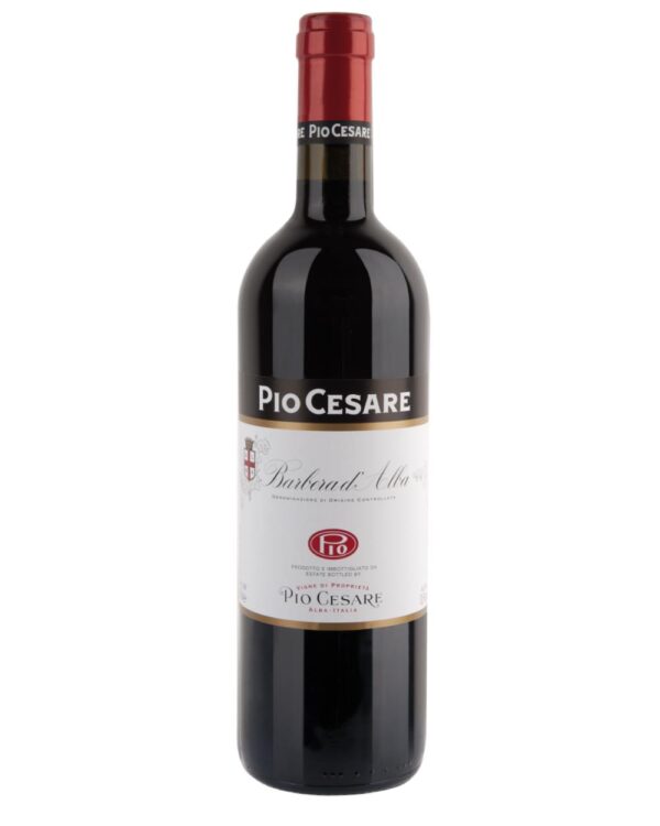 pio cesare barbera d'alba bottiglia di vino rosso prodotto in Italia, nella zona delle Langhe in Piemonte