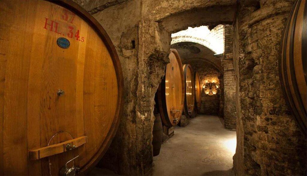 pio cesare le cantine