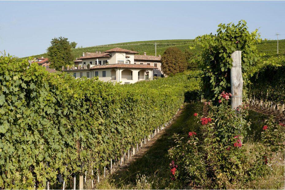 casa vinicola sottimano vista di parte esterna della cantina