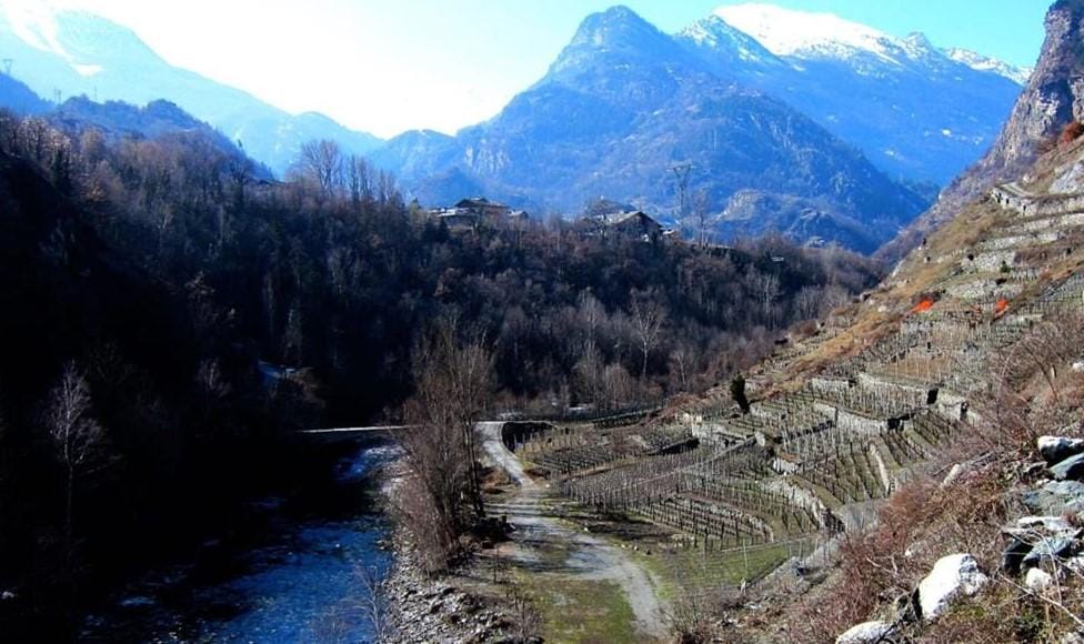danilo thomain le vigne di enfer