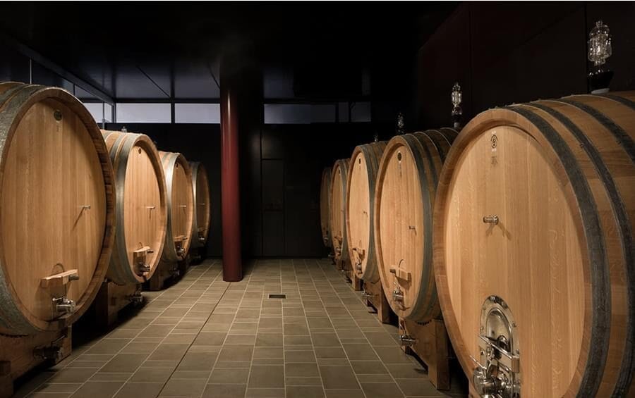 Casa vinicola Domenico Clerico Sorprendente dal 1976 10 domenico clerico le botti e1709507392533