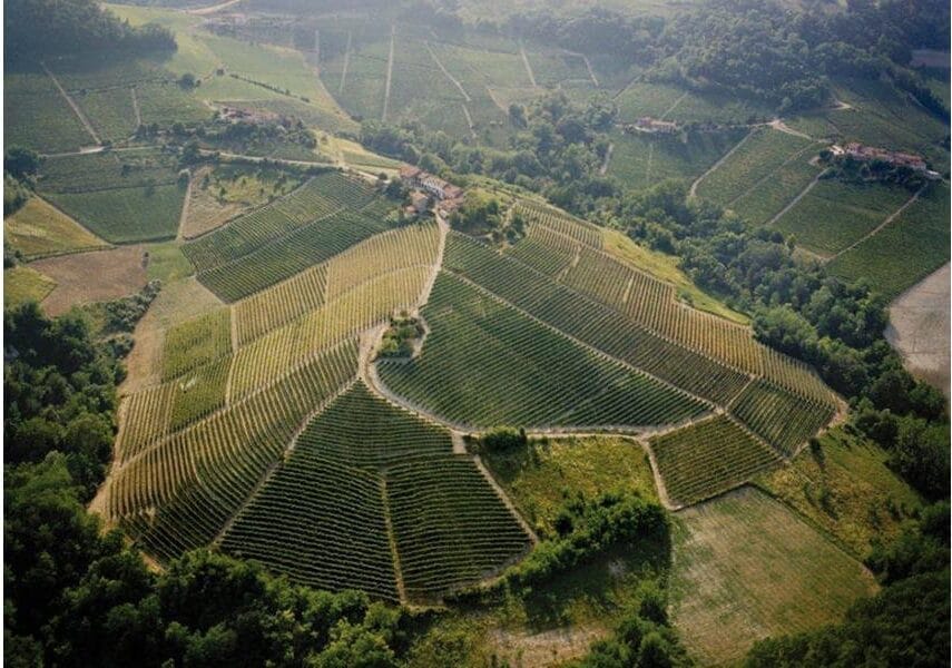 Casa vinicola Domenico Clerico Sorprendente dal 1976 9 domenico clerico le vigne e1709507357147