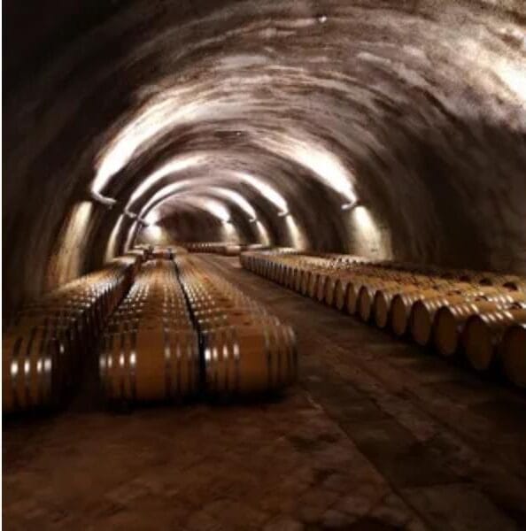 Casa vinicola Elio Grasso Incredibile dal 1978 7 elio grasso barrique e1709378217366