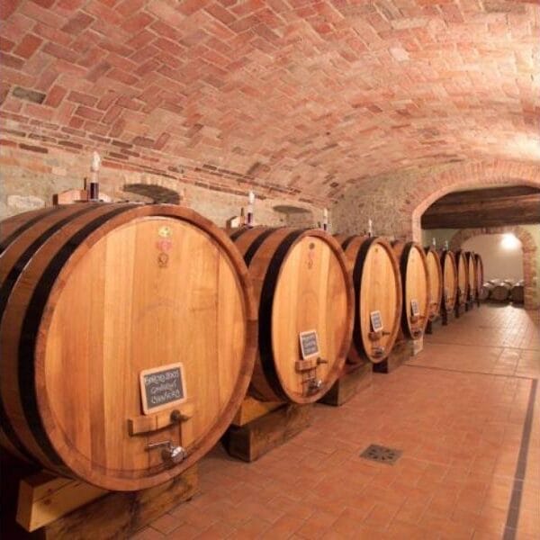 Casa vinicola Elio Grasso Incredibile dal 1978 10 elio grasso botti e1709375932885