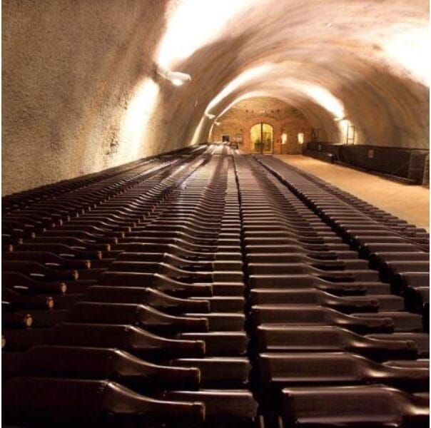 Casa vinicola Elio Grasso Incredibile dal 1978 9 elio grasso bottiglie e1709375907275