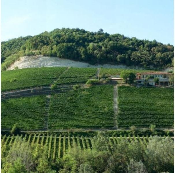 Casa vinicola Elio Grasso Incredibile dal 1978 8 elio grasso vigneti e1709375879398