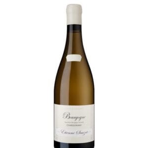 etienne sauzet bourgogne blanc bottiglia di vino bianco prodotto in Francia, in Borgogna