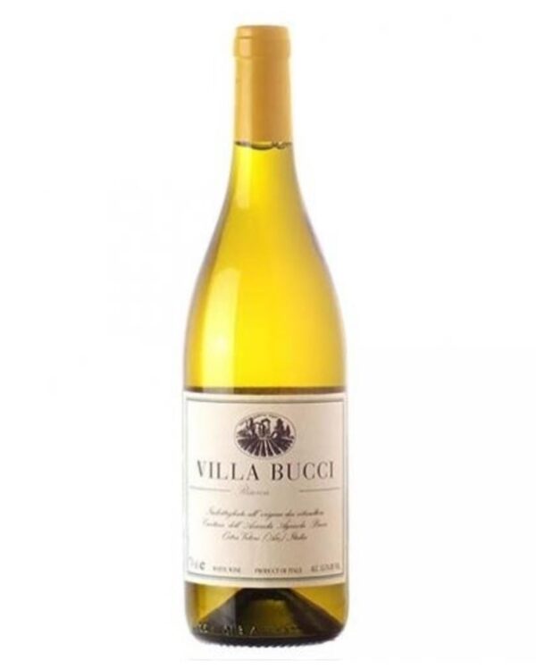 Bucci Verdicchio dei Castelli di Jesi Riserva Villa Bucci bottiglia di vino bianco prodotto in Italia, nella Marche
