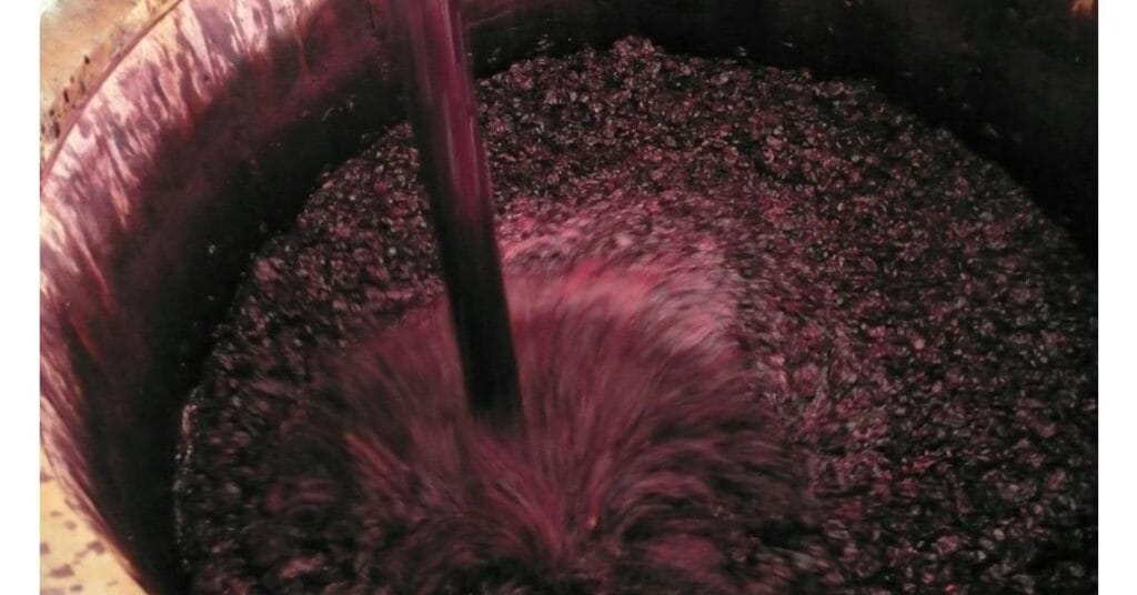 Casa vinicola Auriel Sorprendente dal 2005 9 auriel mosto