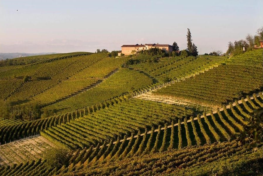 Casa vinicola Vietti Incredibile dal 1848 14 vietti vigneti