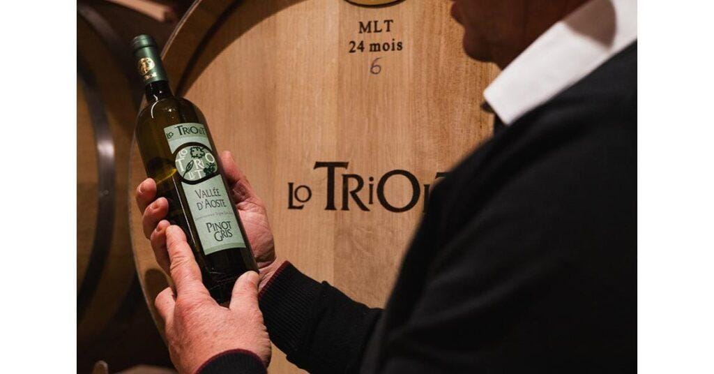 Casa vinicola Lo Triolet Sorprendente dal 1993 9 lo triolet particolare
