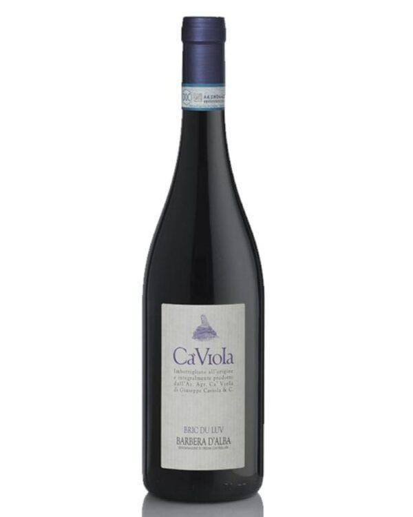 cà viola barbera d'alba bric du luv bottiglia di vino rosso prodotto in Italia, nella zona delle Langhe in Piemonte