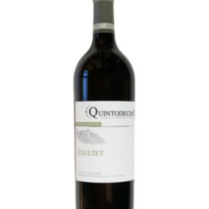 quintodecimo fiano di avellino exultet bottiglia di vino bianco prodotto in Italia, in Campania