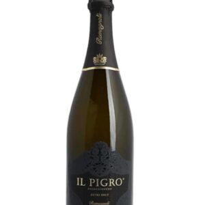 Romagnoli metodo classico Il Pigro dosaggio zero bottiglia di vino spumante bianco prodotto in Italia, nei colli piacentini in Emilia