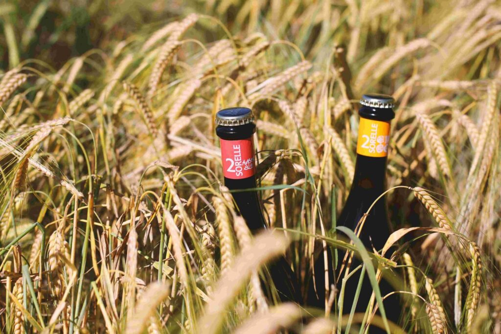 Birrificio 2 Sorelle: quando la passione fa una incredibile birra artigianale. 13 birrificio 2 sorelle in campo