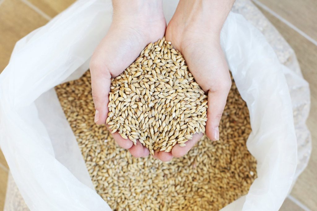 Birrificio 2 Sorelle: quando la passione fa una incredibile birra artigianale. 11 birrificio 2 sorelle la materia prima