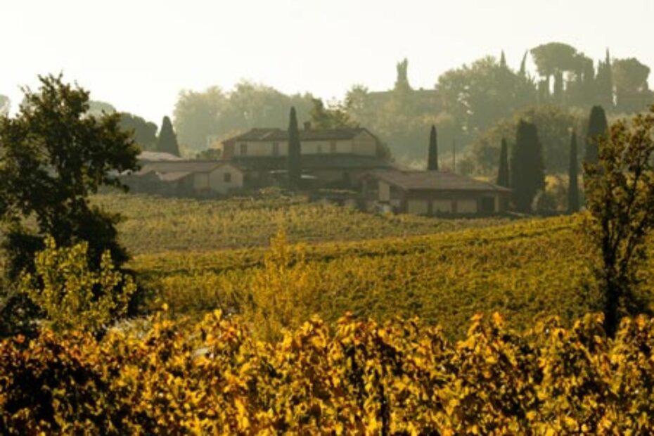 casa vinicola boscarelli vista panoramica della cantina e dei vigneti