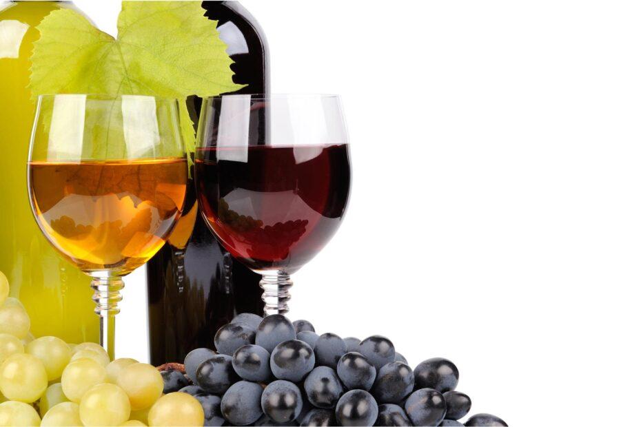 vini naturali, un approfondimento sulla nuova tendenza dei vini prodotti in Piemonte e in Italia